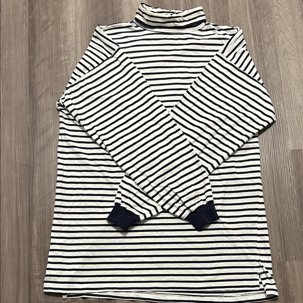 Striped Turtleneck Sweater for Men